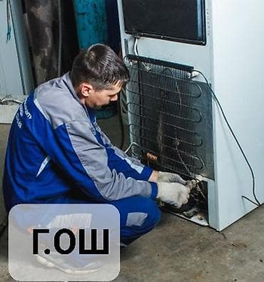 w210 cdi: Профессиональный ремонт холодильников и морозильников в городе Ош — 1