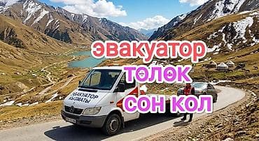 Услуги: С лебедкой — 1