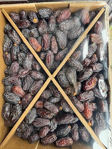 арабский орех: Суккари и Королевские финики Саудовская Аравия — 2