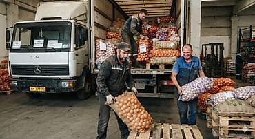 runx alex: Услуги разнорабочего - Колка и укладка дров - Разгрузка угля - Копка — 4