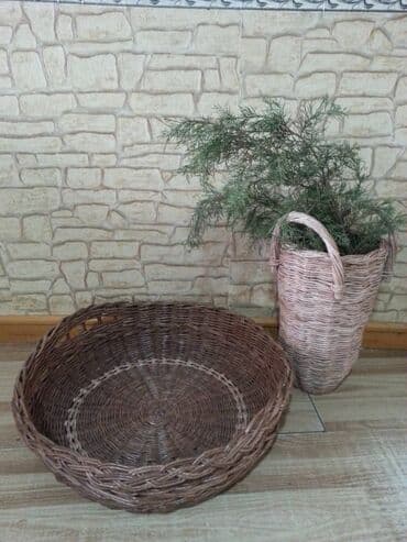 той себет: Себет, Жаңы — 1