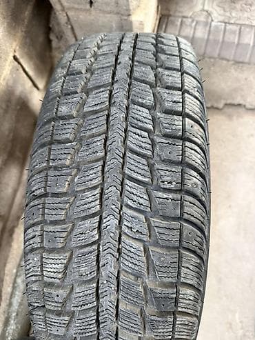 rb 25: Шины 225 / 60 / R 16, Зимняя шипованная, Легковые — 2