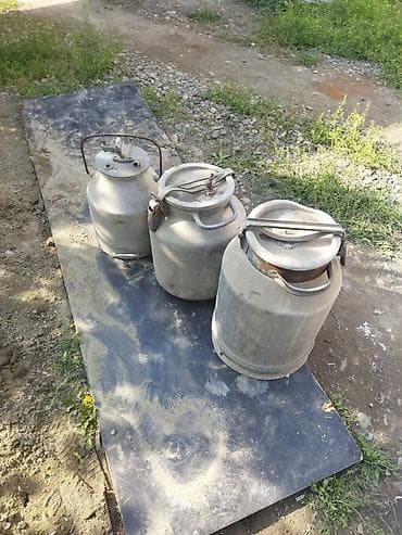 флягу 40 литр: Канистра — 2