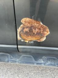 ниссан сани дизель: Ssangyong Rexton: 2019 г., 2.2 л, Автомат, Дизель — 9