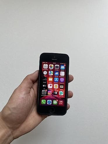 IPhone SE, 32 ГБ, Черный, Чехол, 73 %