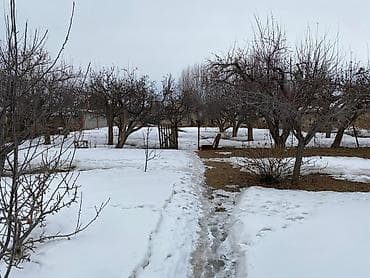 продаю дом село тюп: Жилой дом с приусадебным участком и документами - Государственный акт — 5