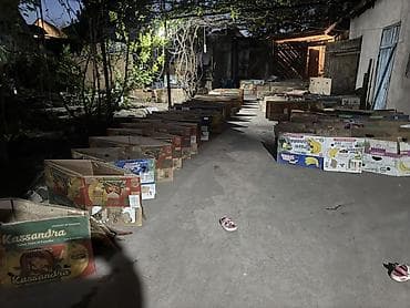 ящики большие: Ящик — 4