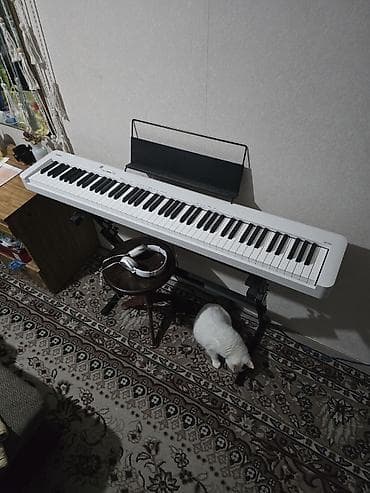 детский синтезатор casio: Электронное пианино Casio CDP-S110 белый, оригинал, Япония. Состояние — 1