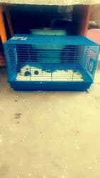 акустические системы atrix колонка в виде собак: Продаю клетки для хомячков от 500 до 1500 сом. и самих хомячков по 150 — 14