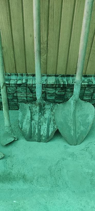 Кафелер, ресторандар үчүн: Шаймандар топтому, Колдонулган, Өзү алып кетүү — 5