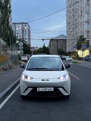 8900: BYD E2: 2024 г., Электромобиль, Хэтчбэк — 2