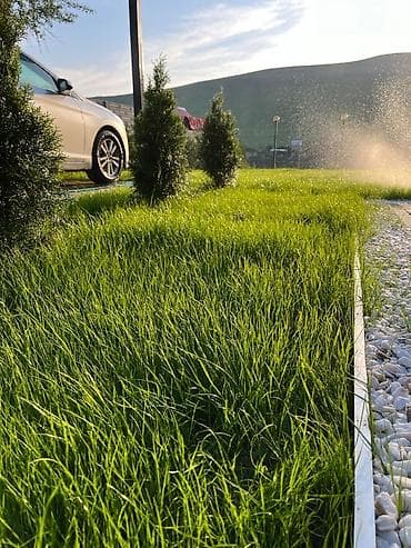 услуги косилки: ✔️Сеем газон ✔️ Посев газона ✔️ Озеленение территории ✔️Газон ✔️ — 1