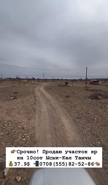 тынчтык ж м: 10 соток, Курулуш, Кызыл китеп — 1