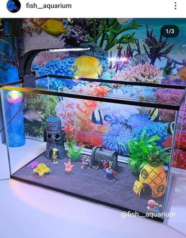 аквариумная рыбка: Аквариум с дизайном в стиле "Губка Боб" Аквариум- ваш собственный — 1