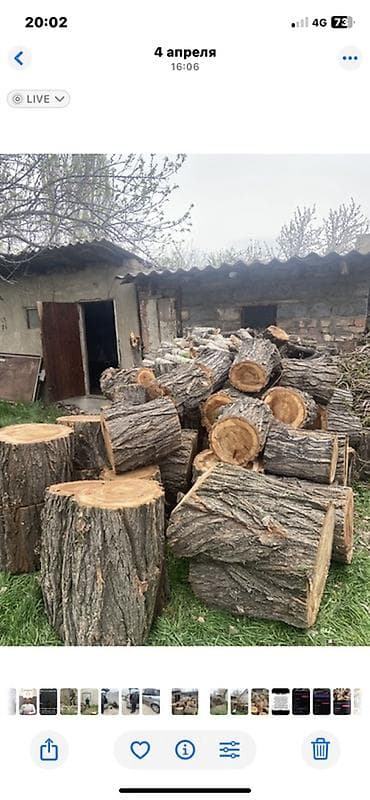 дрова: Дрова Самовывоз — 3