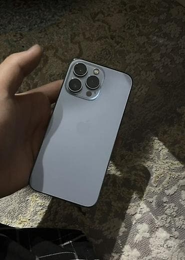 IPhone 13 Pro, 256 ГБ, Серебристый, 76 %