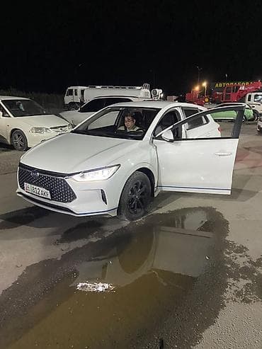 BYD E2: 2019 г., Электромобиль, Седан — 1