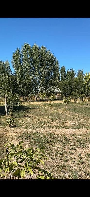район палитех: 5 соток, Для строительства — 3