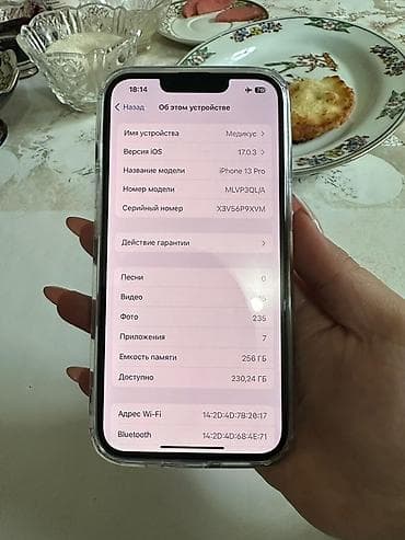 IPhone 13 Pro, Б/у, 256 ГБ, Sierra Blue, Чехол, 100 %