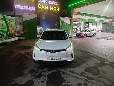 крыло спринтер рекс: Weltmeister EX5, 2020 г. — 4