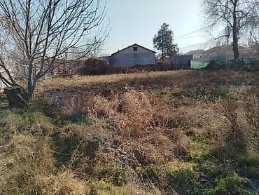 Сниму дом: Продаётся дом с участком. - Жилой одноэтажный дом с печным отоплением — 6