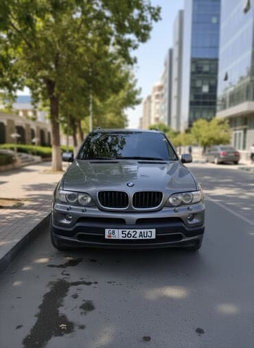 BMW X5: 2005 г., 4.8 л, Автомат, Бензин, Кроссовер