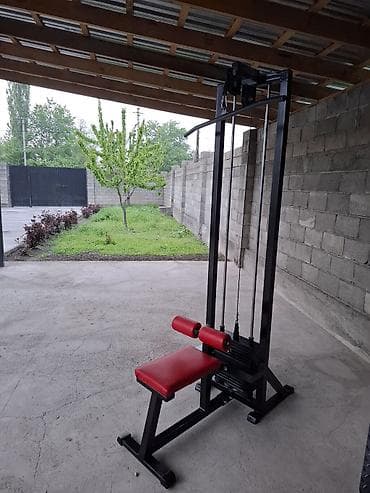 Спорт и хобби: Силовой тренажер, Для спины, Новый, Платная доставка — 2