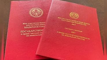423 соток, Курулуш, Кызыл китеп, Сатып алуу-сатуу келишими — 1