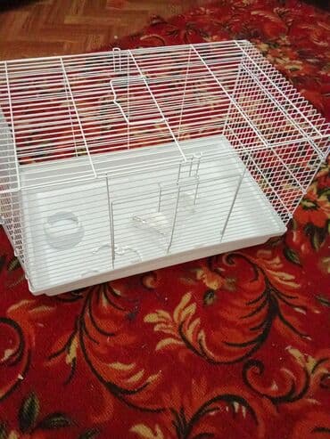 переноски для кошек бишкек: Клетка для хомяка или свинки. Новая. Также в наличии хомяки: сирийцы — 4