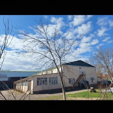 Продаю Фабрика, Действующий, 1200 м²