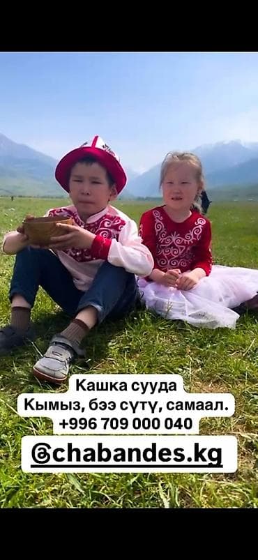 Саамал, кымыз
1 литр 400 сом