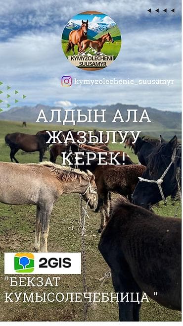 тур в дубай: Кумысолечебница «Бекзат» Услуга: - Кумысолечение на жайлоо Суусамыр — 3
