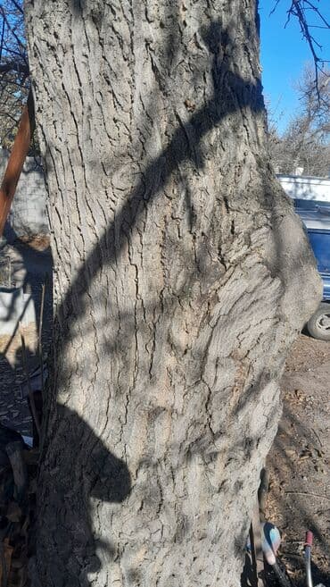 бу спальный гарнитур бишкек цены: Жаңгак багы сатылат — 5