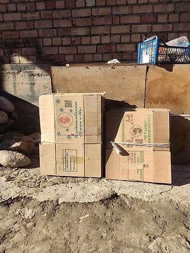 коробка ролекс: Ящик — 1