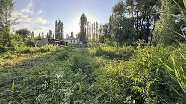 all group: 25 соток — 1