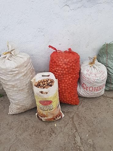 Грецкий орех в скорлупе, урожай с участка. - Калибр: смешанный