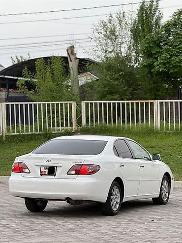 подушка в машину: Toyota Windom: 2003 г., 3 л, Автомат, Бензин, Седан — 6