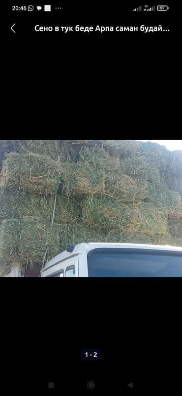 наполнитель для животных: Сено в тюках. дагаварная ниже базаре - Прессованные тюки — 1