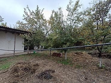 Үйлөрдү ижарага берүү: Продаётся частный дом с большим двором и хозяйственными постройками — 5