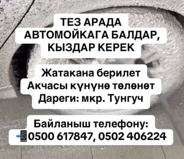 работа на сто: ТЕЗ АРАДА АВТОМОЙКАГА БАЛДАР, КЫЗДАР КЕРЕК Жатакана берилет Акчасы — 1