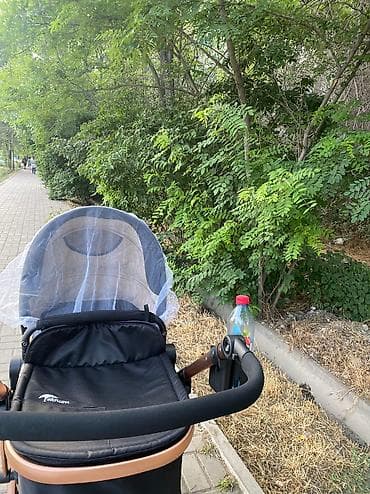 chicco echo: Коляска, цвет - Черный, Б/у — 2