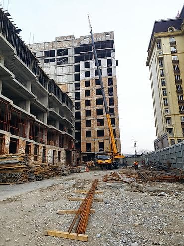 пересадка деревьев: Аренда автокрана для строительных работ - Мощный мобильный автокран — 1