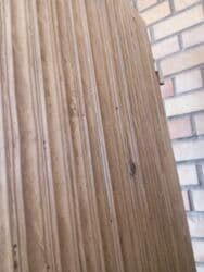 бу эшиктер ош: Ички эшик айнек менен, 200 * x 80 см, Колдонулган — 2