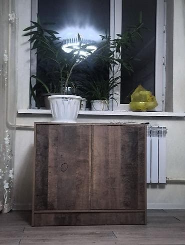 сколько стоит вешалка для одежды: Тумба для вещей и одежды, Без зеркала, ЛДСП, цвет - Коричневый — 1