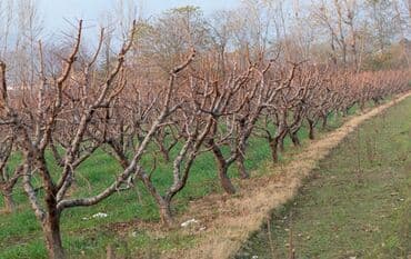 садовник требуется: Уборка территории — 10