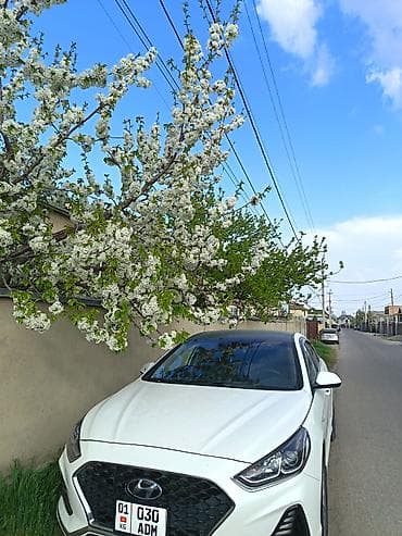 prius v: Hyundai Sonata: 2019 г., 2 л, Автомат, Газ, Седан — 6