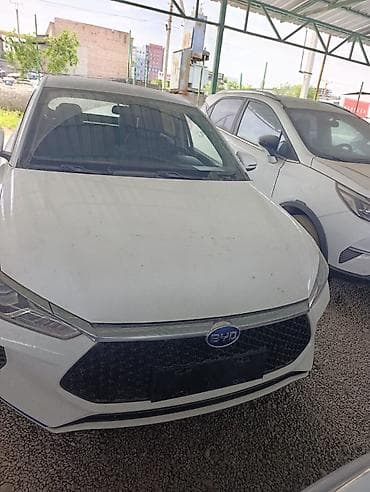 BYD: BYD E2: 2021 г., 0.1 л, Робот, Электромобиль, Хэтчбэк — 3