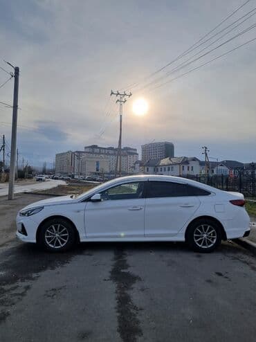 соната 2022: Hyundai Sonata: 2022 г., 2 л, Автомат, Газ, Седан — 5