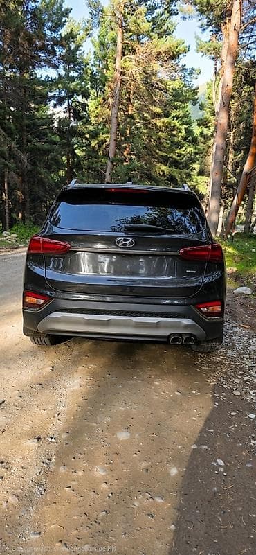 santa fe 2008: Hyundai Santa Fe: 2019 г., 2.2 л, Автомат, Дизель, Кроссовер — 5