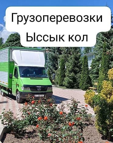 буу мебелдер: Буйрутма берүү Мерседес жүк ташуучу спринтер, Эмерек ташуу, Прицеби менен — 2